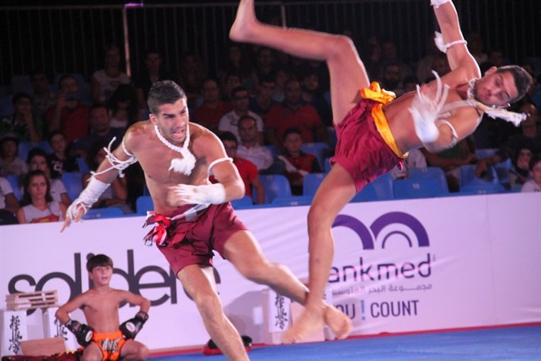 Martial Arts Festival